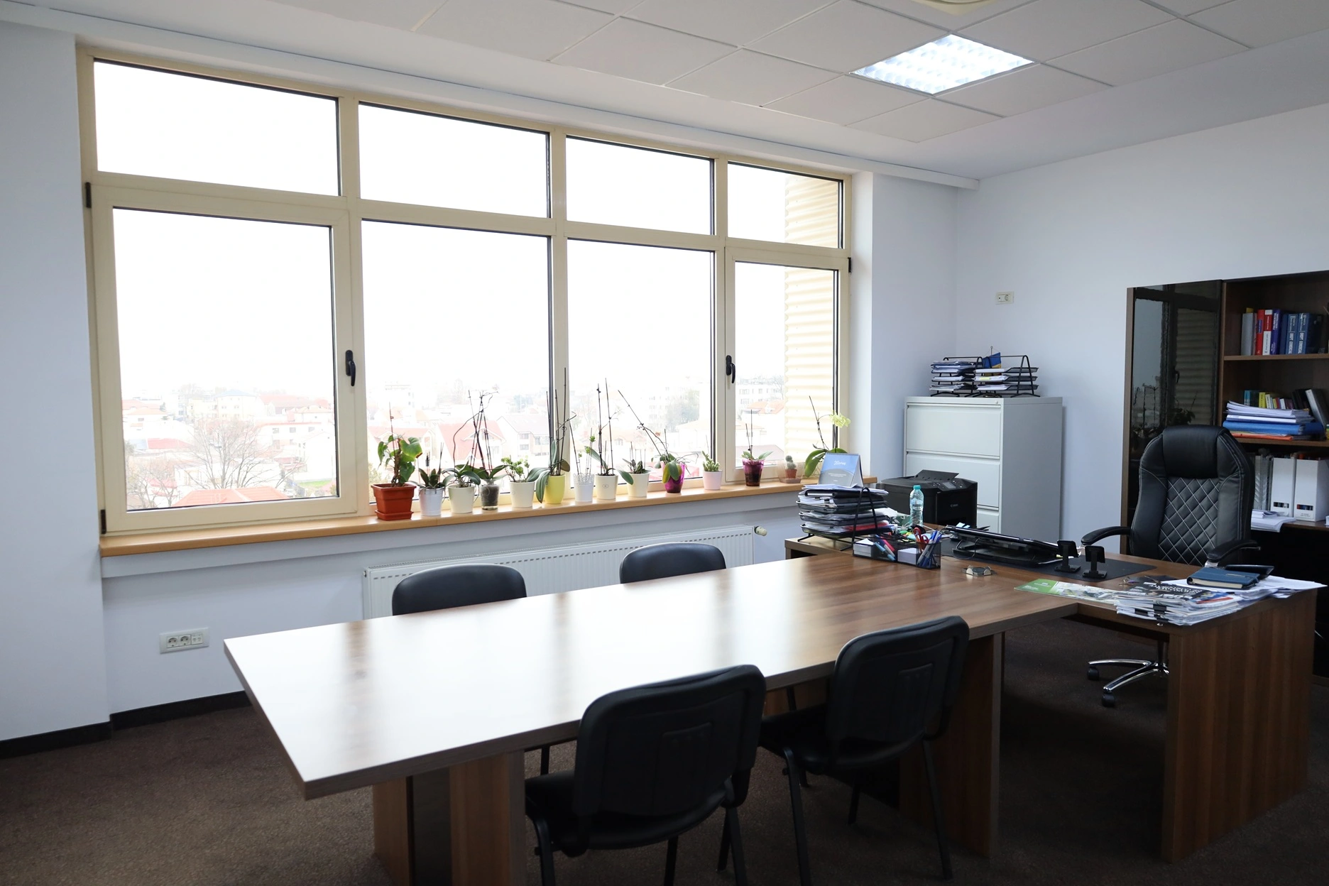 Tomis Interior
